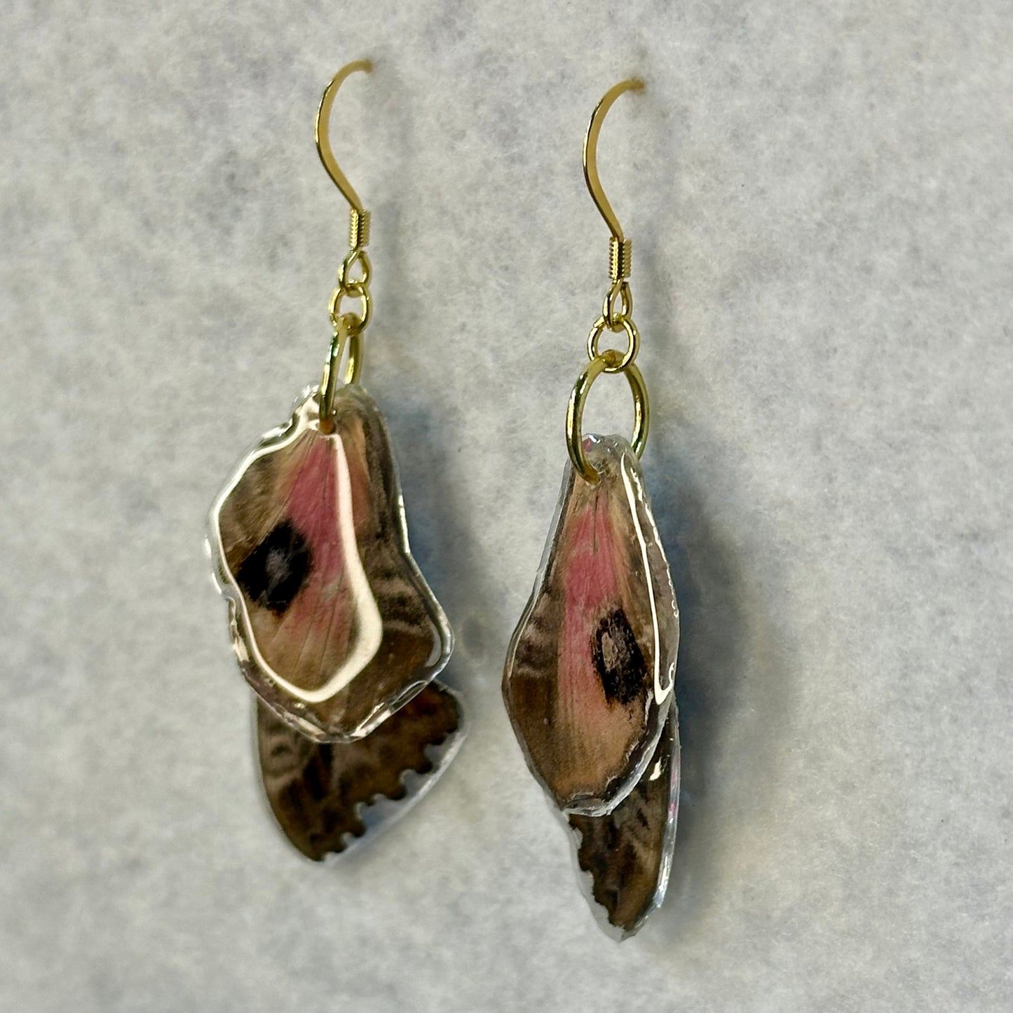 Sphinx Moth Earrings