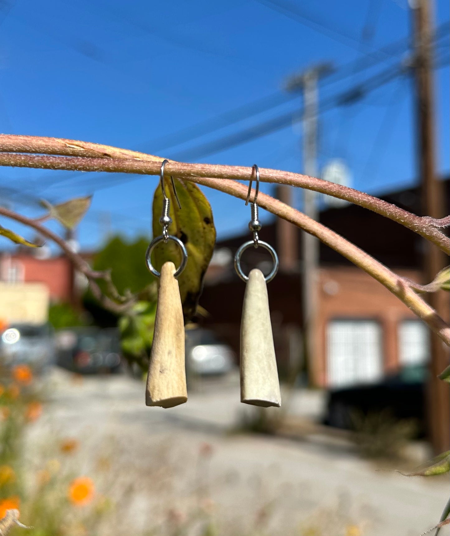 Antler Earrings