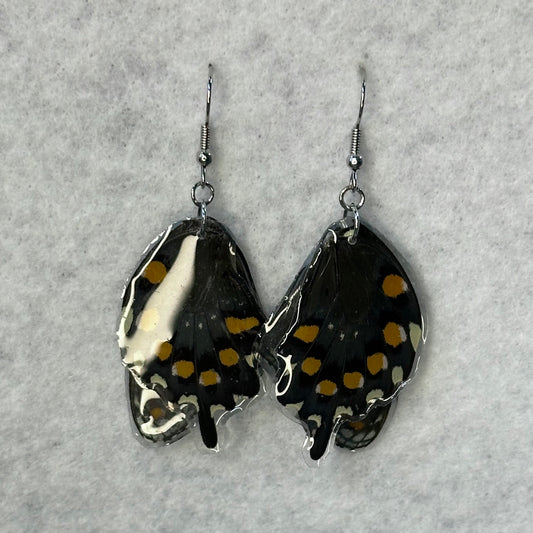 Black Swallowtail Earrings