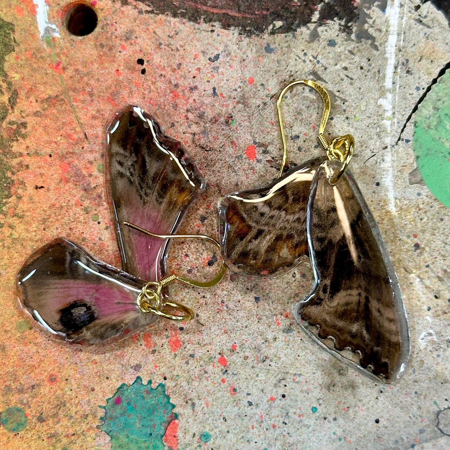 Sphinx Moth Earrings