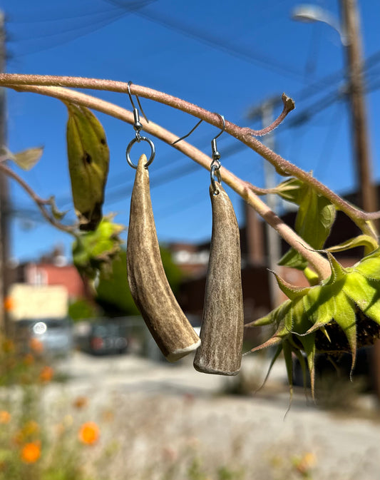 Antler Earrings